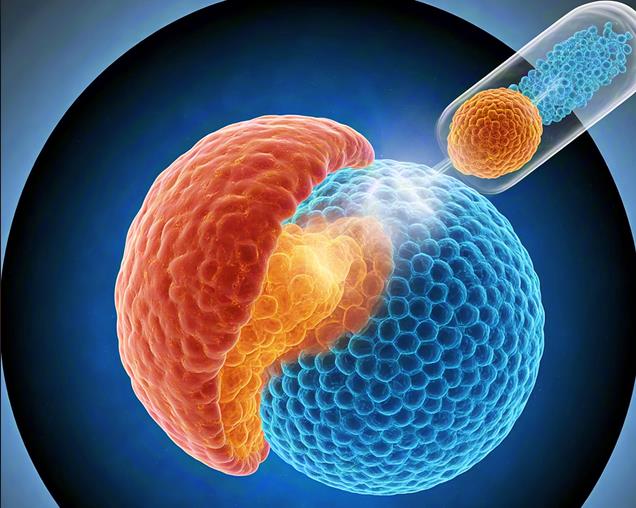 胰腺癌早期难发现?这4个“伪装信号”千万别忽视,早识别早警惕!