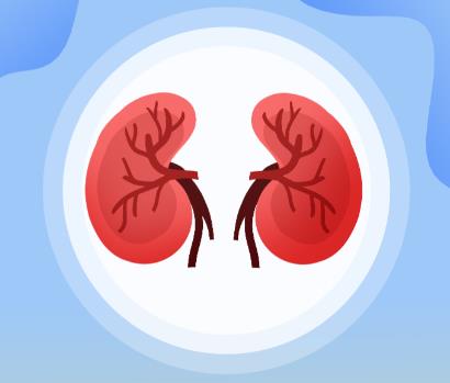 肾虚分5型!盲目进补反伤身,科学调养全指南助你精准养护